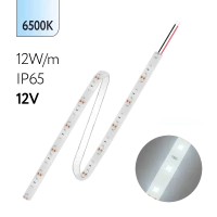 FL-Strip 2835 | 12V IP65 6500K 12W/m 1250Lm/m | Катушка - 5 метров | - Светодиодная лента FOTON LIGHTING