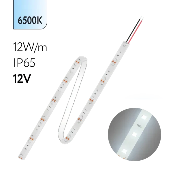 FL-Strip 2835 | 12V IP65 6500K 12W/m 1250Lm/m | Катушка - 5 метров | - Светодиодная лента FOTON LIGHTING