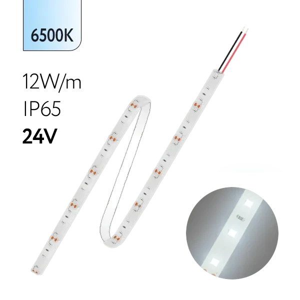 FL-Strip 2835 | 24V IP65 6500K 12W/m 1250Lm/m | Катушка - 5 метров | - Светодиодная лента FOTON LIGHTING