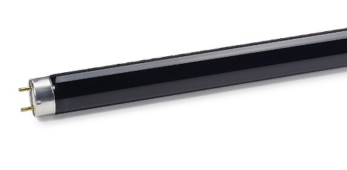 Лампа ультрафиолетовая LightBest BLB 6W T5 G5