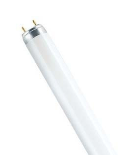 Лампа в ловушки для насекомых и полимеризации LT8 20W G13 | UVA BL368 L=579мм | - FOTON LIGHTING
