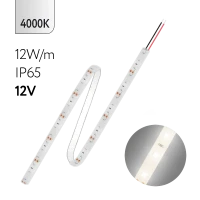 FL-Strip 2835 | 12V IP65 4000K 12W/m 1250Lm/m | Катушка - 5 метров | - Светодиодная лента FOTON LIGHTING