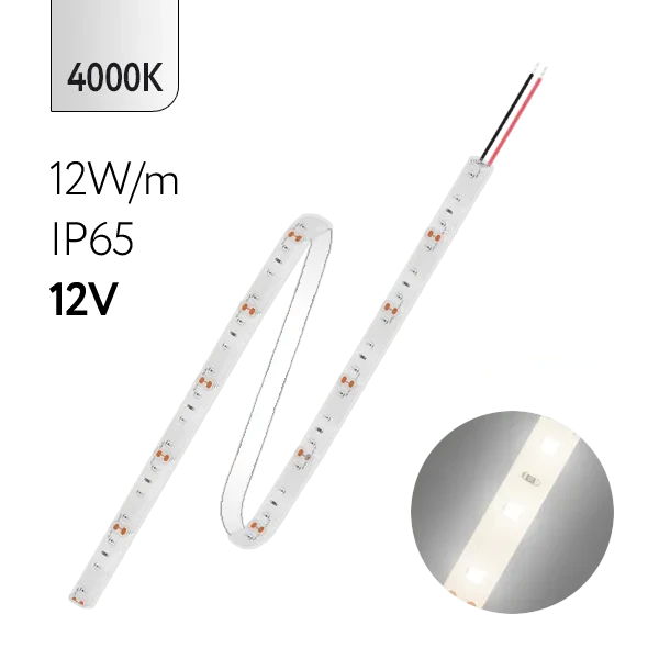 FL-Strip 2835 | 12V IP65 4000K 12W/m 1250Lm/m | Катушка - 5 метров | - Светодиодная лента FOTON LIGHTING