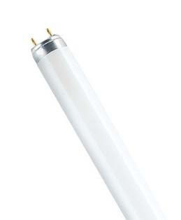 Лампа в ловушки для насекомых и полимеризации LT8 10W G13 | UVA BL368 L=330мм | - FOTON LIGHTING