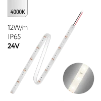 FL-Strip 2835 | 24V IP65 4000K 12W/m 1250Lm/m | Катушка - 5 метров | - Светодиодная лента FOTON LIGHTING
